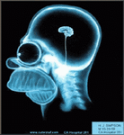 pic for Homer Brain
